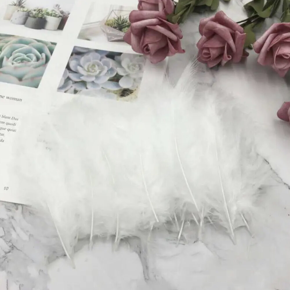 שקית נוצות לבנות למילוי בלון בועה