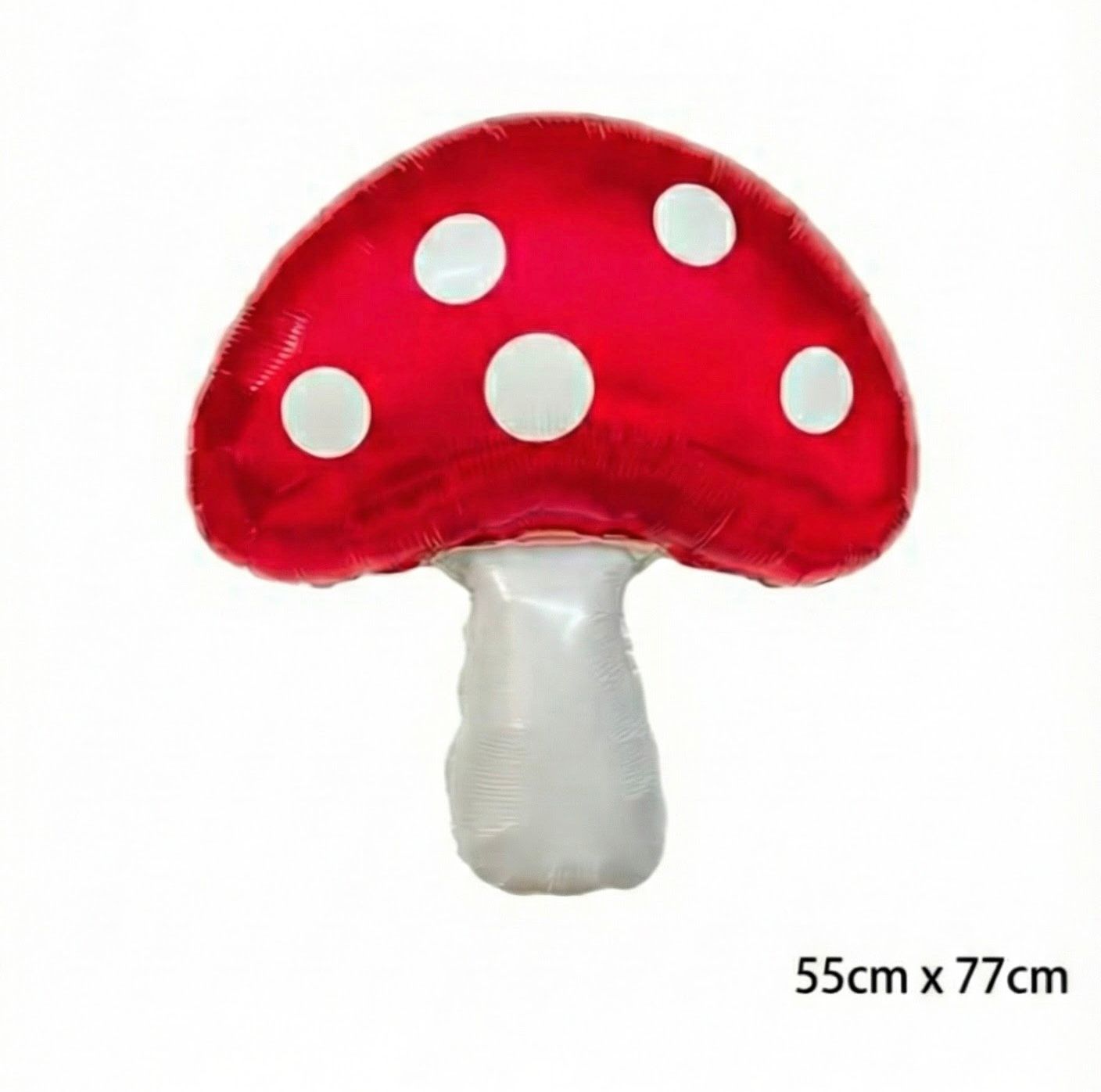 בלון מיילר פטרייה